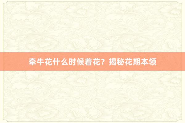 牵牛花什么时候着花？揭秘花期本领