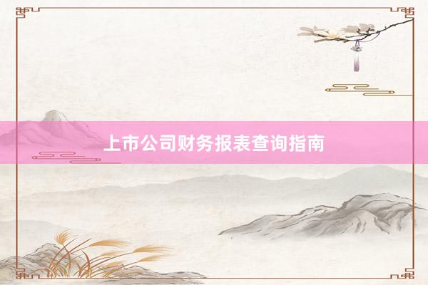 上市公司财务报表查询指南